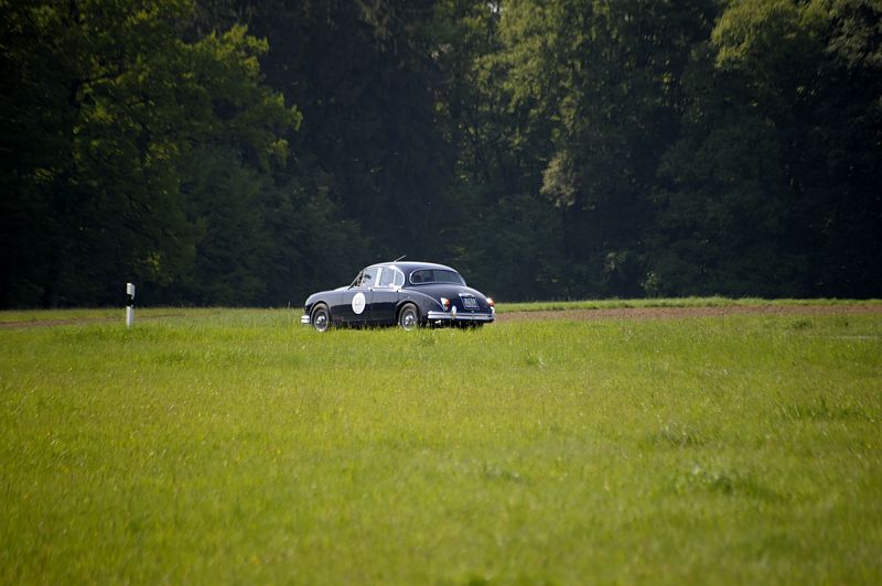 Jaguar_130bR.jpg