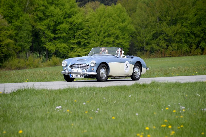 AustinHealey_5a.jpg