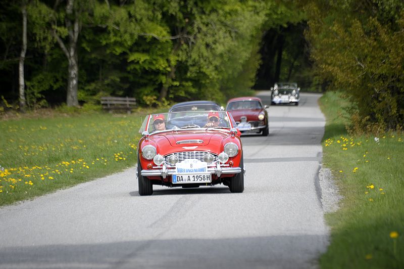 AustinHealey_8b.jpg