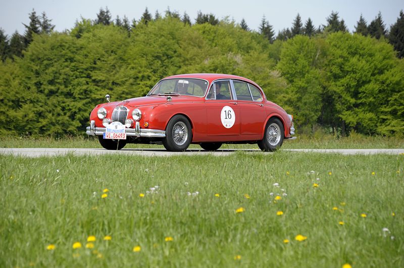 Jaguar_16a.jpg