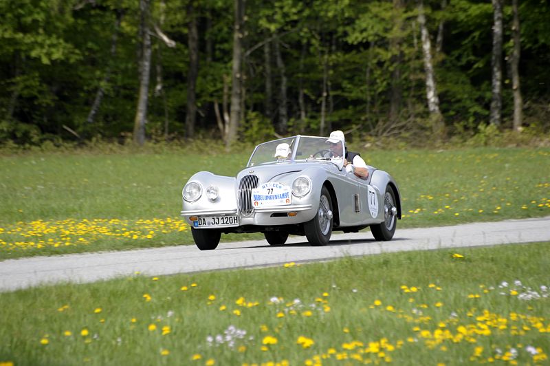 Jaguar_77a.jpg
