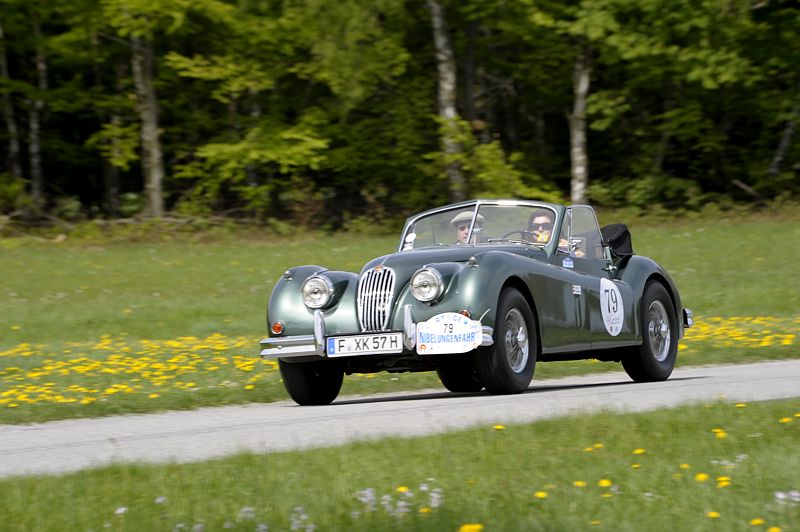 Jaguar_79a.jpg