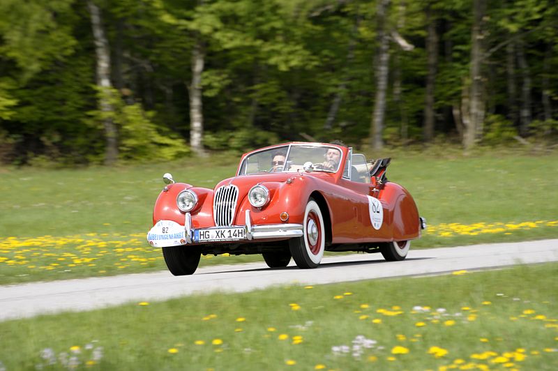 Jaguar_82a.jpg