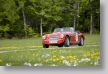 AustinHealey_103a.jpg