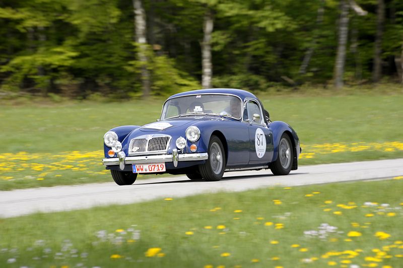 MG_87a.jpg