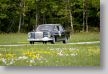 Mercedes_103a.jpg