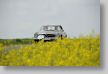Nibelungen_14_20140426_048_FUH7243.JPG