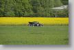 Nibelungen_14_20140426_057_FUH7257.JPG