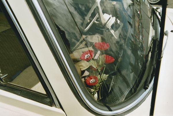 Blumen.jpg