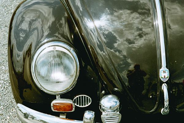 VWKaefervornDetail.jpg