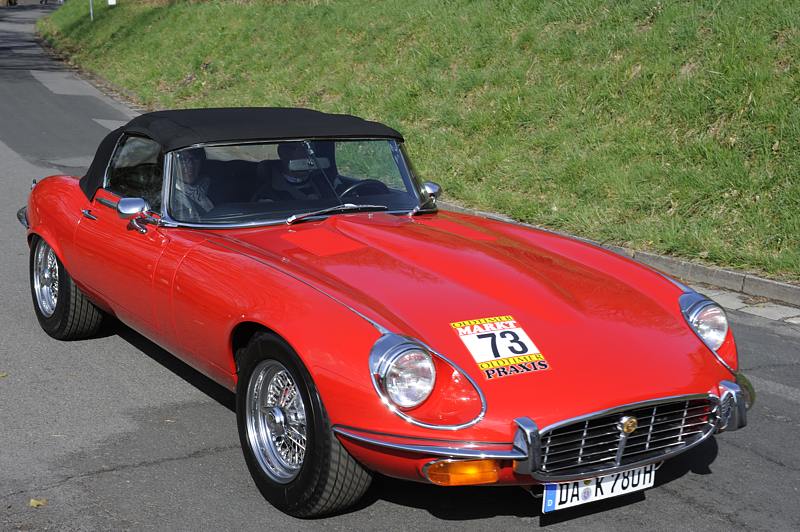 Jaguar_73a.jpg