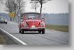 Osterglocken_13_044_FUH4169.JPG