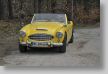 Osterglocken_13_078_FUH4235.JPG