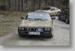 Osterglocken_13_079_FUH4237.JPG