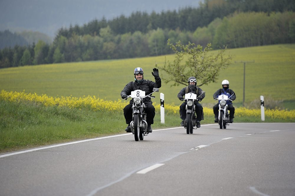 Osterglocken_14_20140418_011_FUH6845.JPG