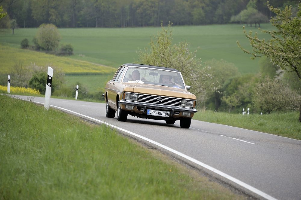 Osterglocken_14_20140418_023_FUH6871.JPG