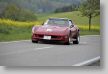 Osterglocken_14_20140418_039_FUH6907.JPG
