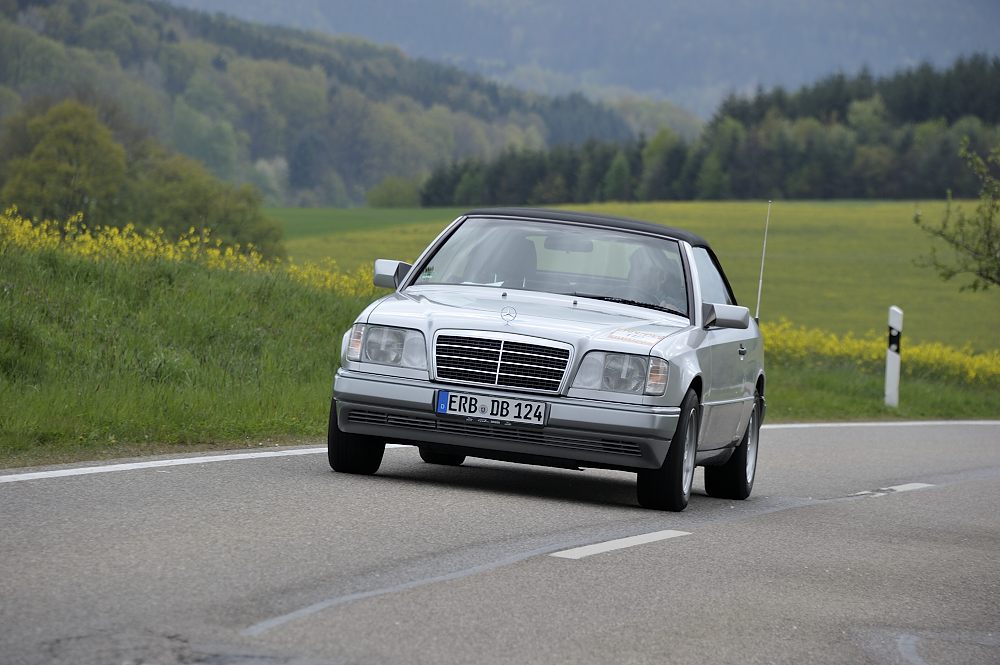 Osterglocken_14_20140418_102_FUH7038.JPG