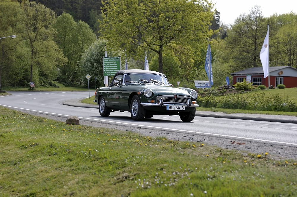 Osterglocken_14_20140418_130_FUH7092.JPG