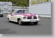 Osterglocken_14_20140418_155_FUH7149.JPG