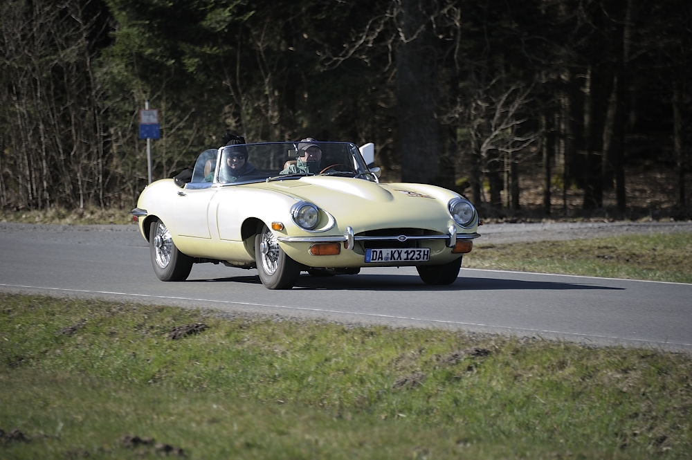 Osterglocken2015_04-03-2015_023_FUH9371.JPG