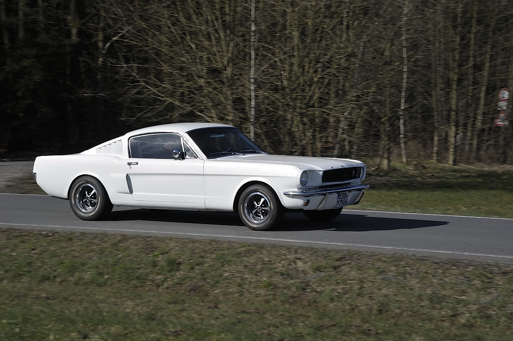 Osterglocken2015_04-03-2015_036_FUH9389.JPG
