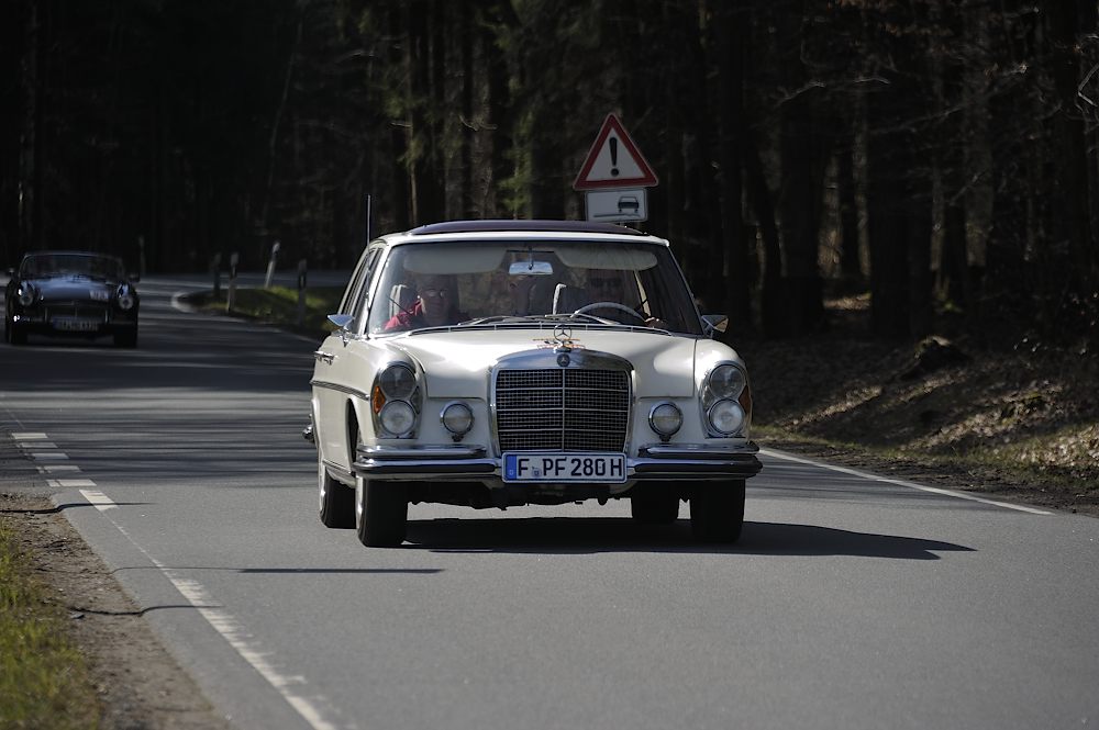 Osterglocken2015_04-03-2015_099_FUH9465.JPG