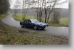 Osterglocken16_03-25-2016_095_FUH1548.JPG