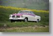 Osterglocken17_04-14-2017_033_FUH3503.JPG
