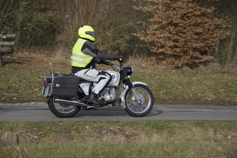 Osterglocken_18_20180330_03_FUH1285.JPG