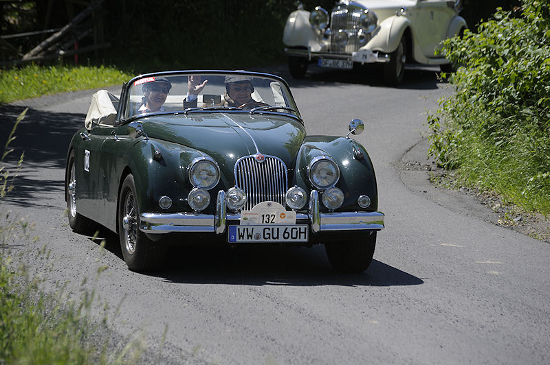 Jaguar_132_a.jpg